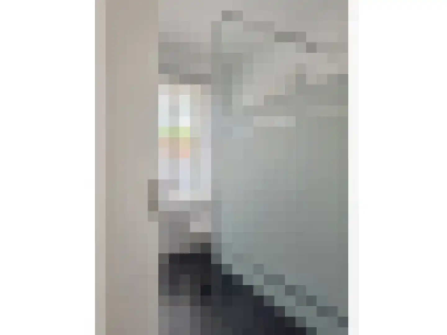 Herinckhavestraat 17 Hengelo thumbnail 55