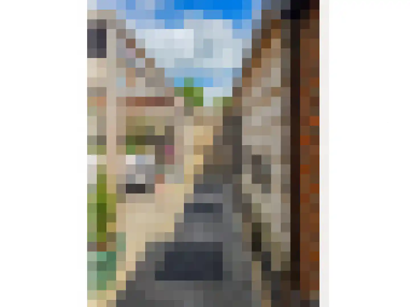 Herinckhavestraat 17 Hengelo thumbnail 70