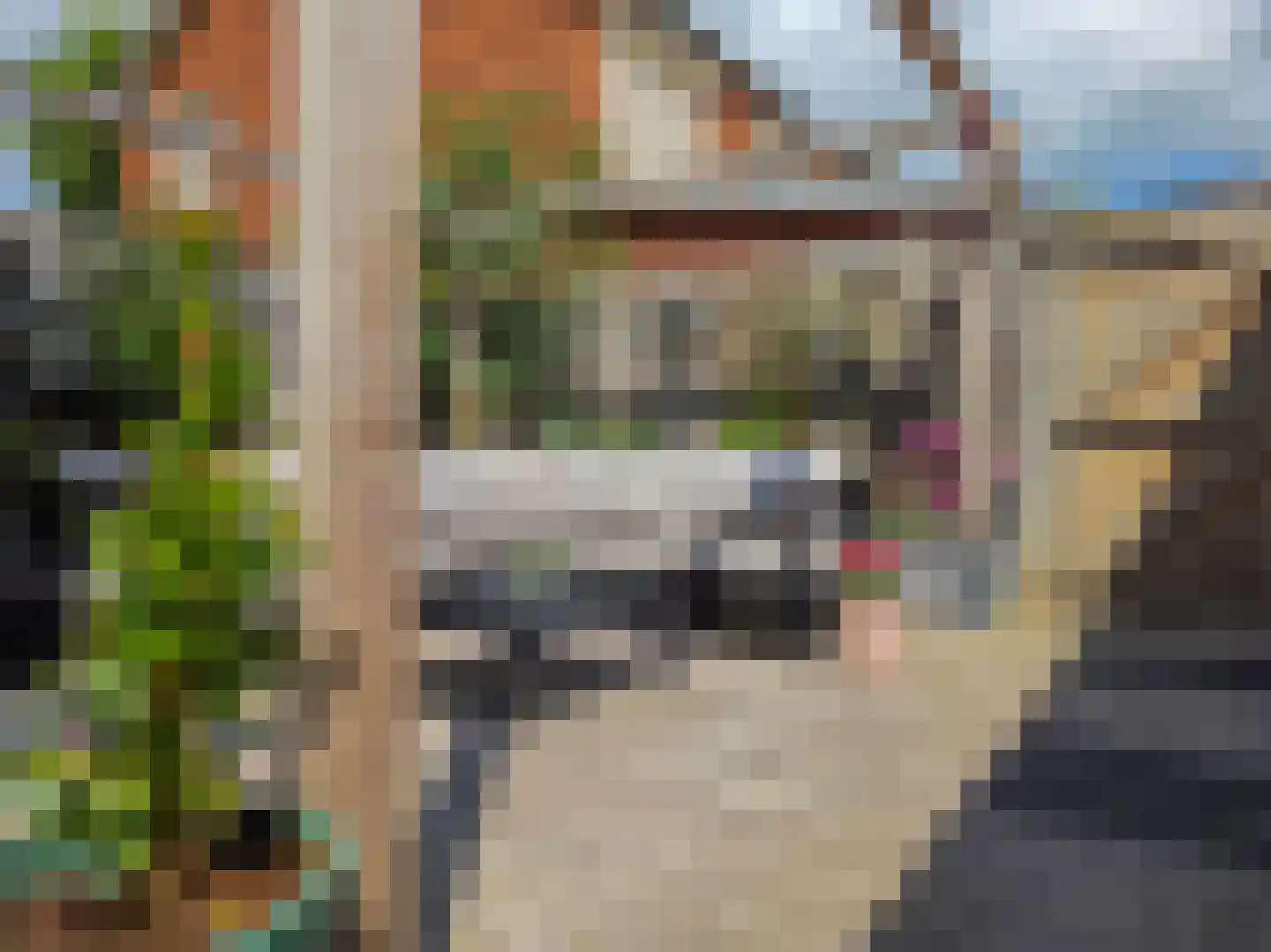 Herinckhavestraat 17 Hengelo thumbnail 72