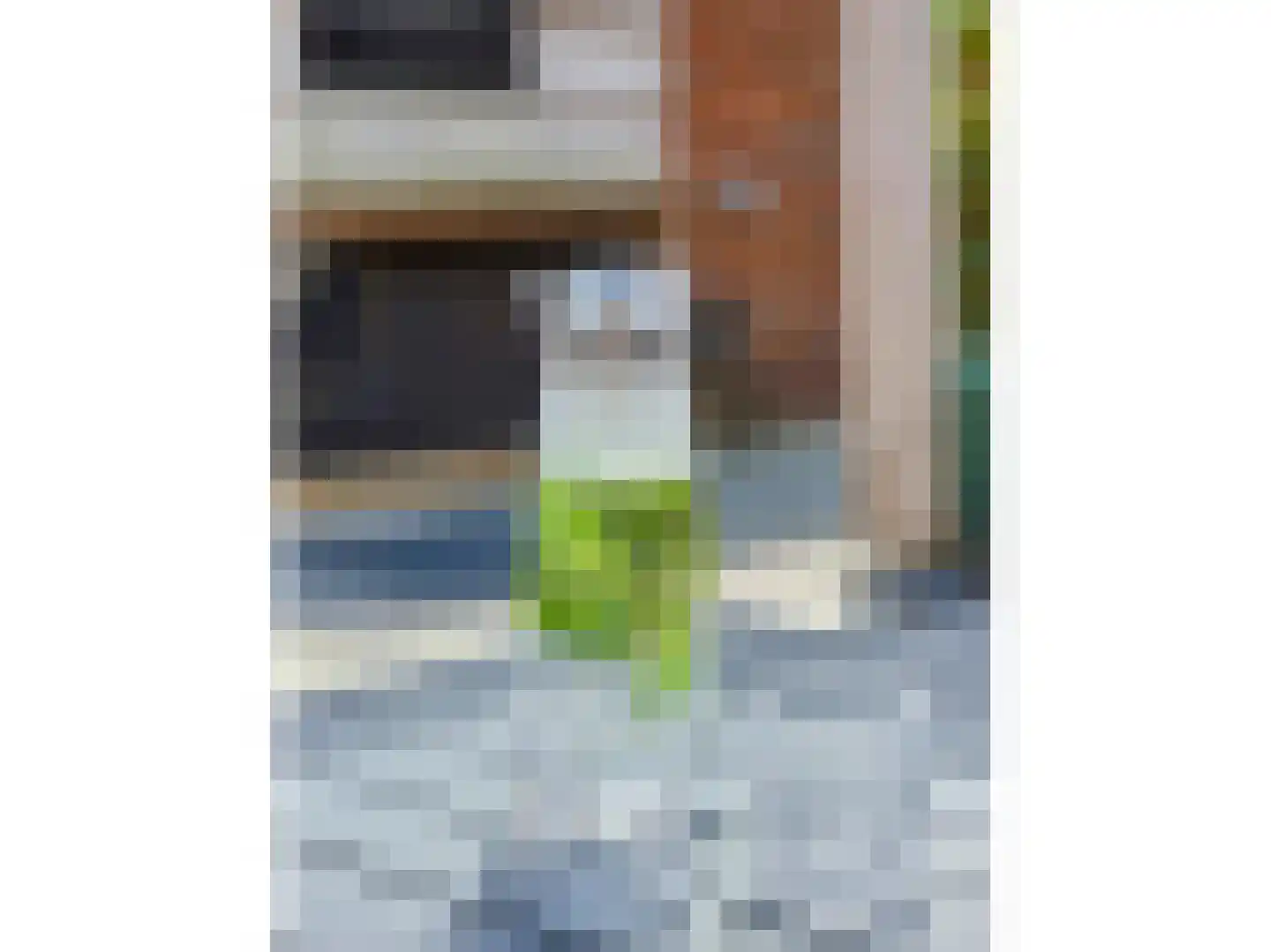 Herinckhavestraat 17 Hengelo thumbnail 76