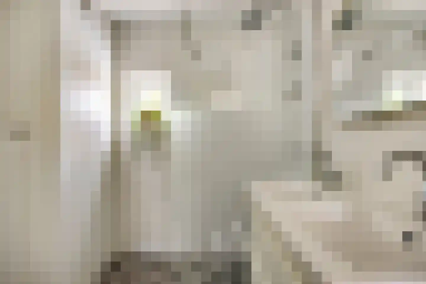Herinckhavestraat 20 Rotterdam thumbnail 13