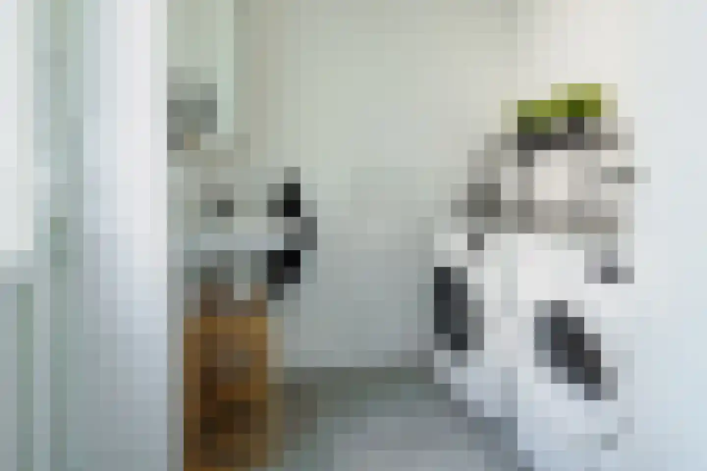Herinckhavestraat 37 Hengelo thumbnail 18