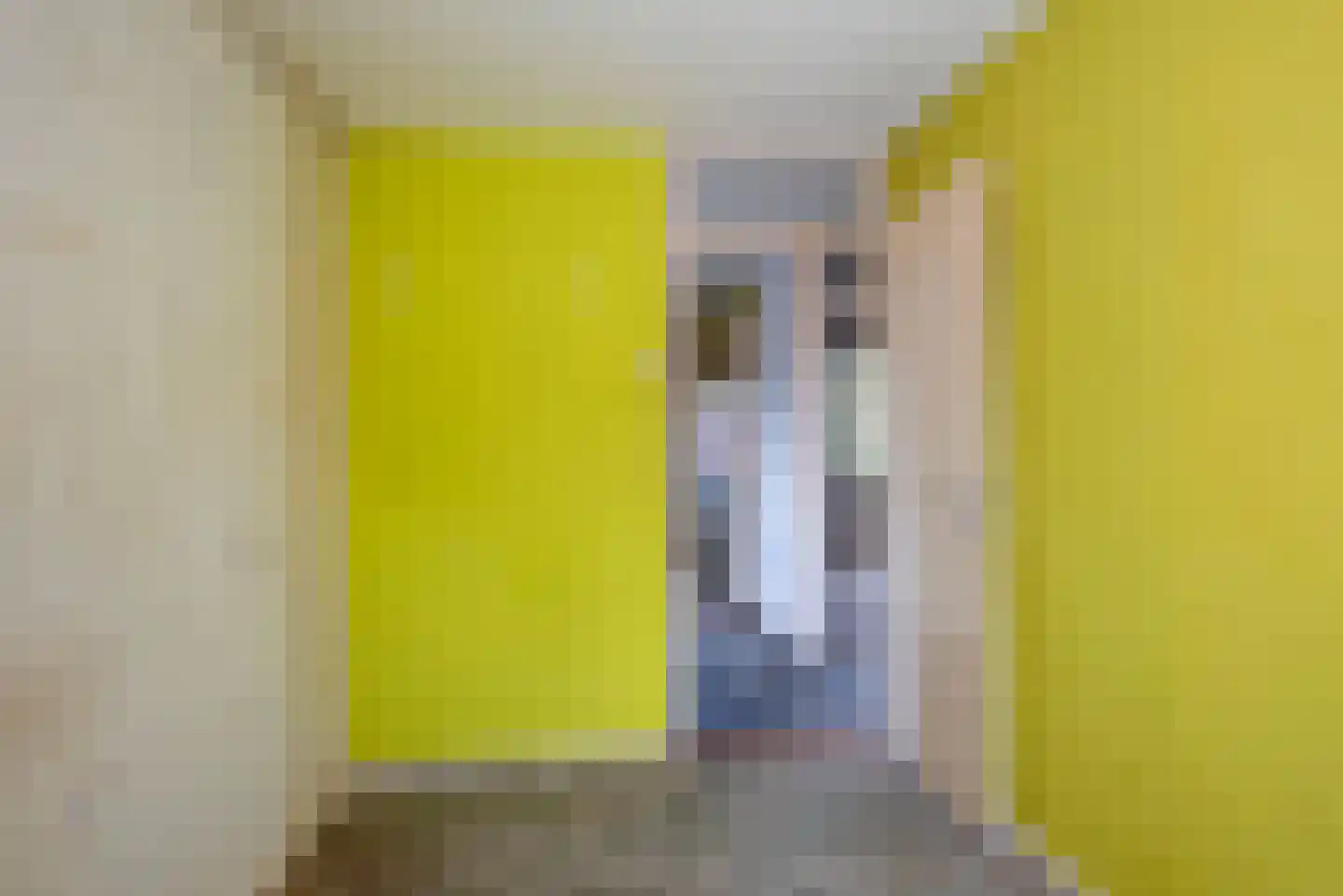 Herinckhavestraat 4 Hengelo thumbnail 17