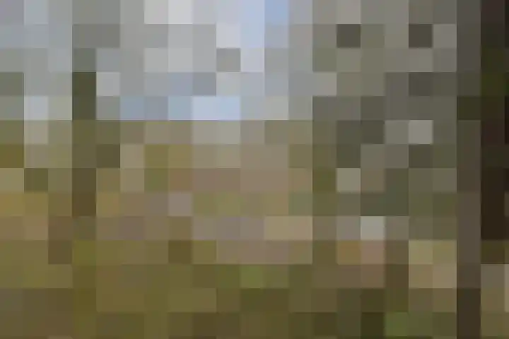 Heringa-State 19 Amsterdam thumbnail 10