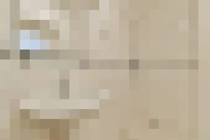 Heringa-State 19 Amsterdam thumbnail 12