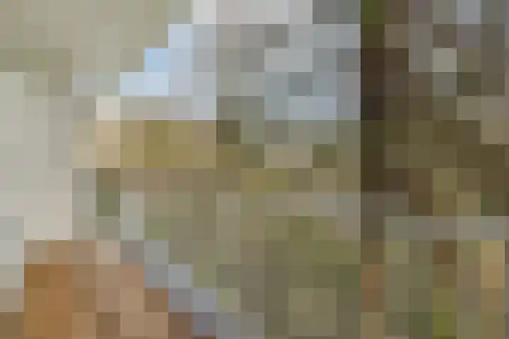 Heringa-State 19 Amsterdam thumbnail 8