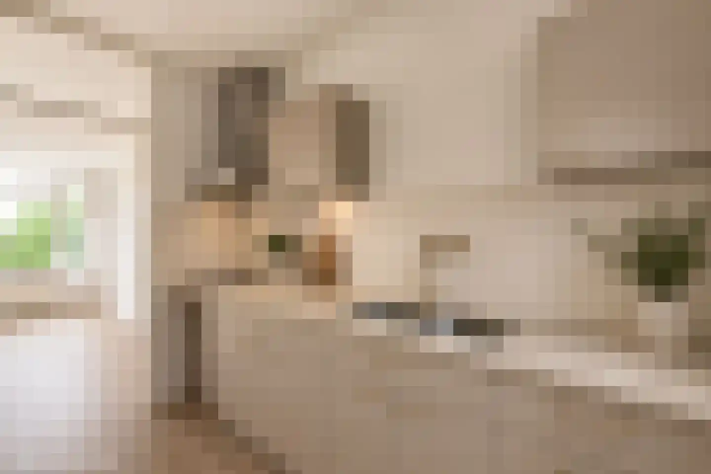 Heringa-State 38 Amsterdam thumbnail 10