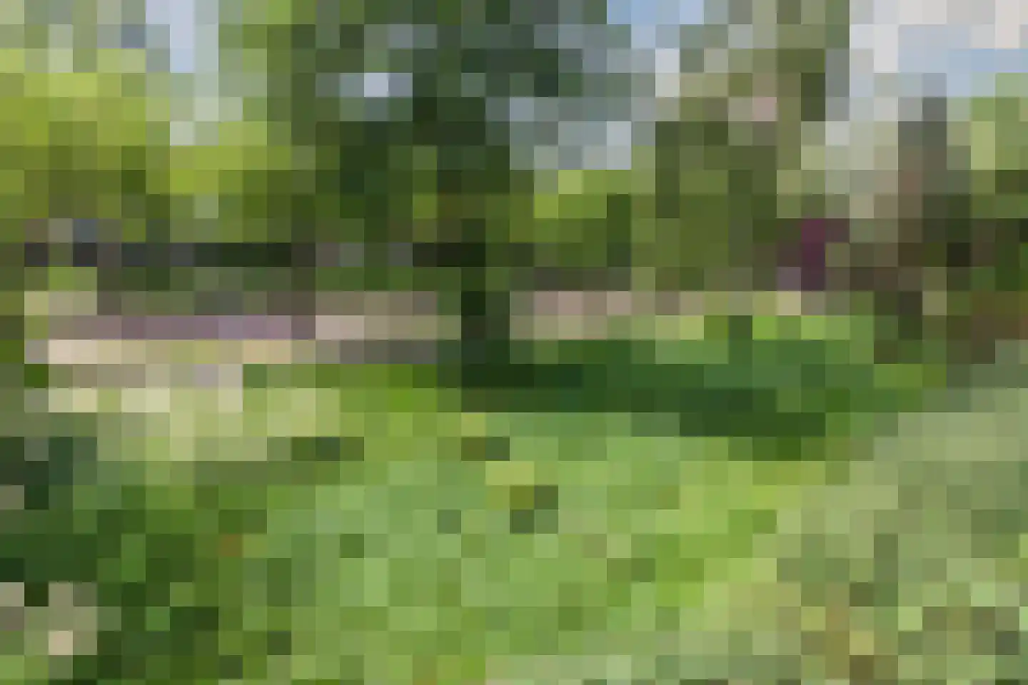 Heringa-State 38 Amsterdam thumbnail 12