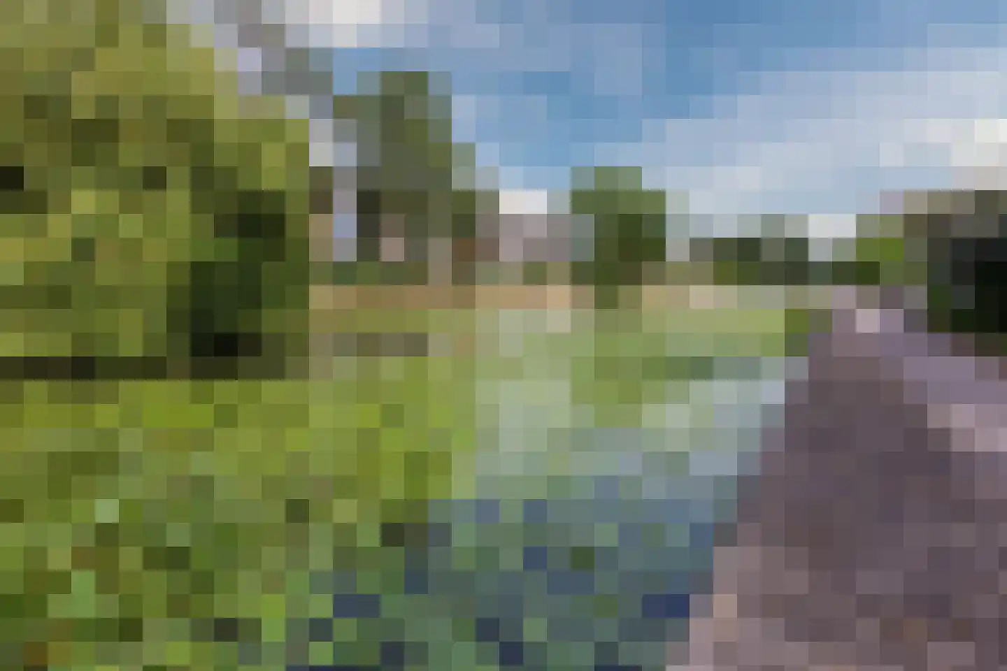 Heringa-State 38 Amsterdam thumbnail 20
