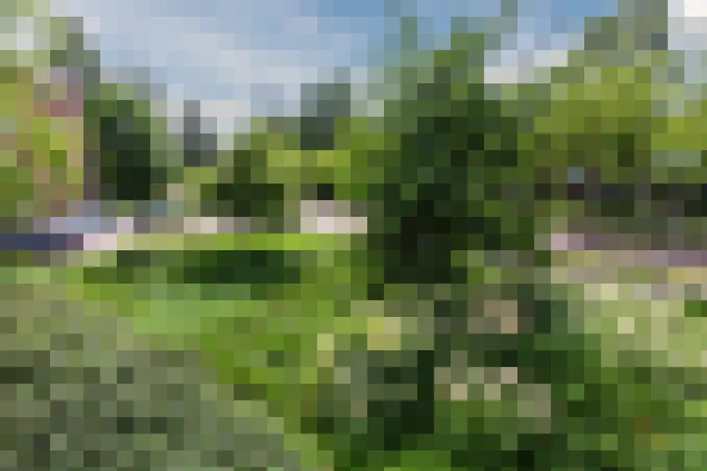 Heringa-State 38 Amsterdam thumbnail 5