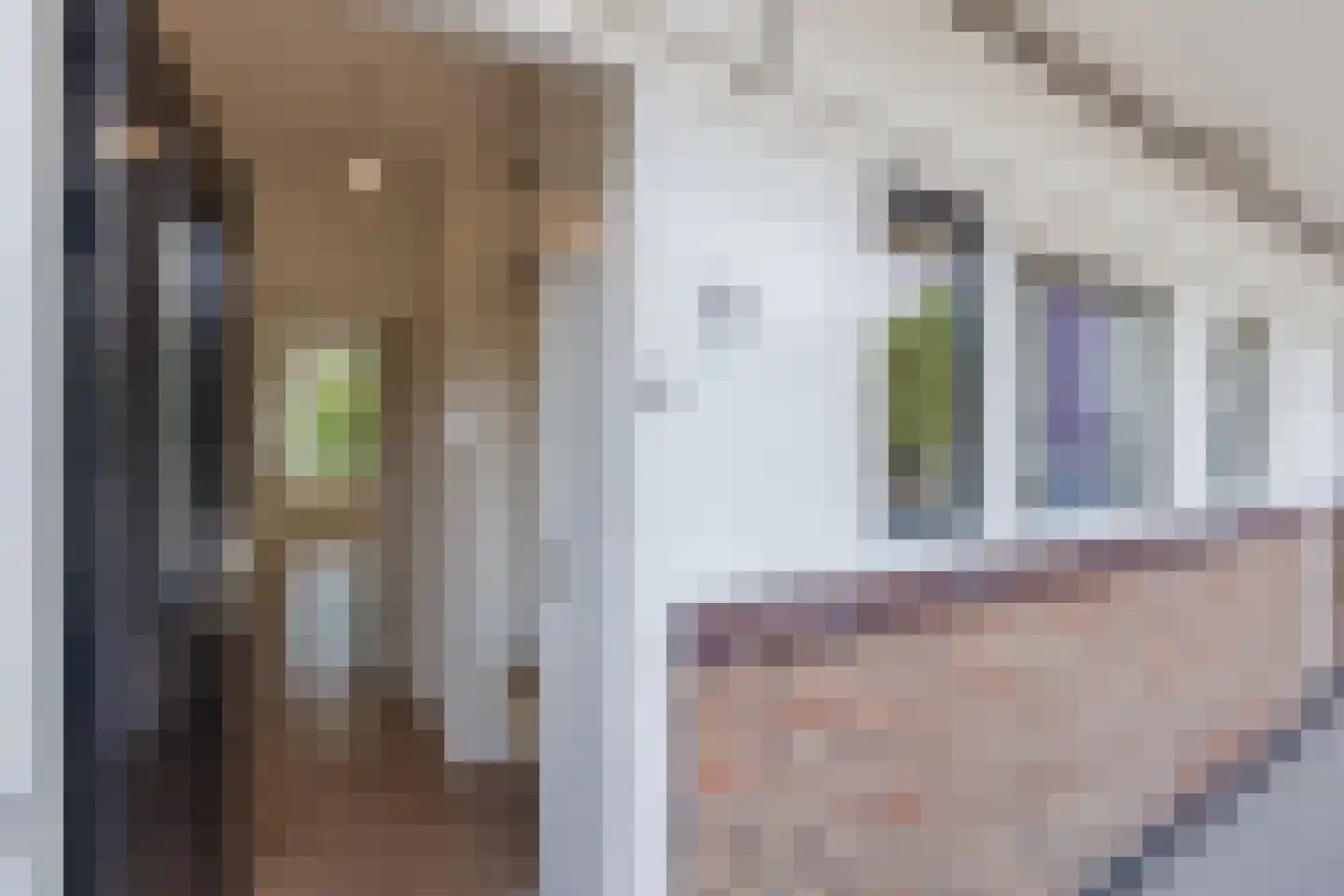 Heringa-State 38 Amsterdam thumbnail 7