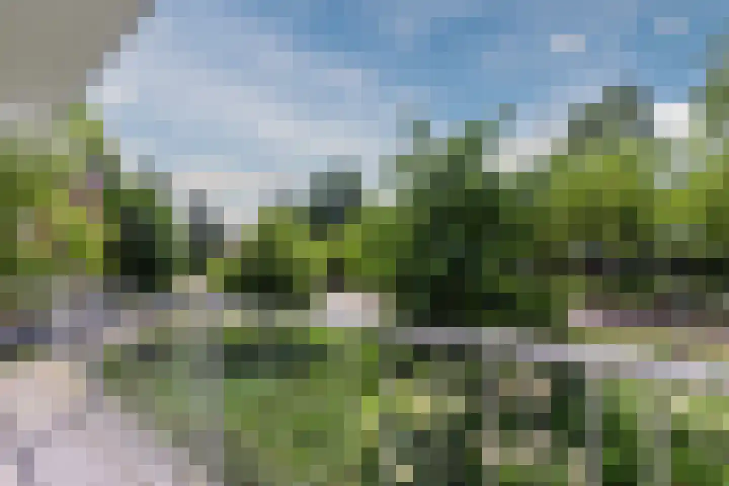 Heringa-State 38 Amsterdam thumbnail 9
