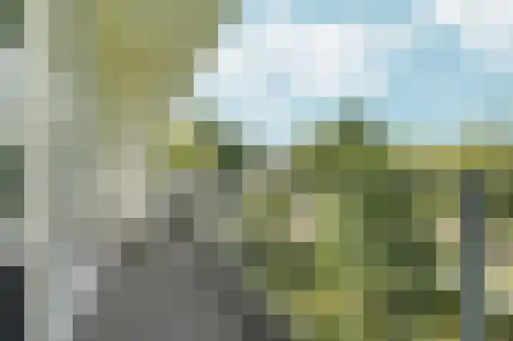 Heringa-State 56 Amsterdam thumbnail 18