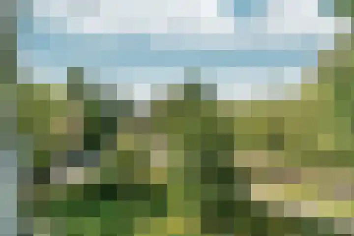 Heringa-State 56 Amsterdam thumbnail 19