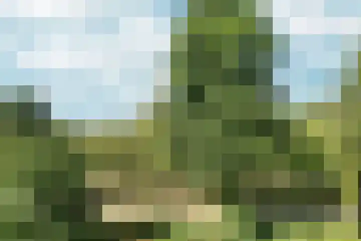 Heringa-State 56 Amsterdam thumbnail 20