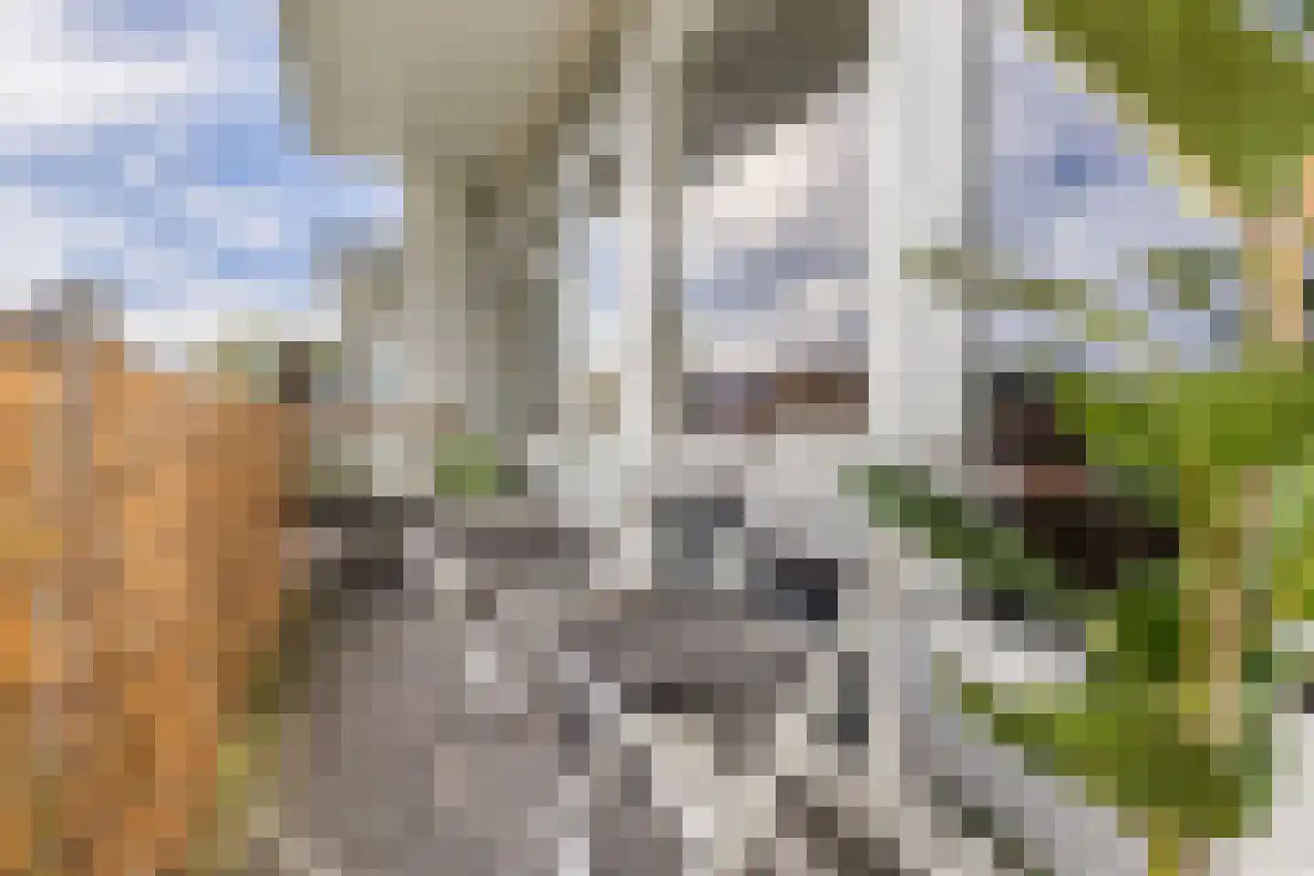 Heringa-State 59 Amsterdam thumbnail 9