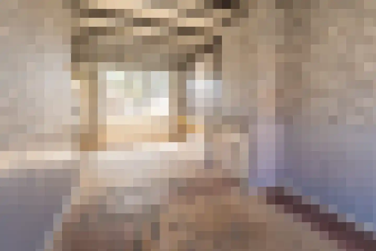 Heringastraat 6 Leeuwarden thumbnail 5