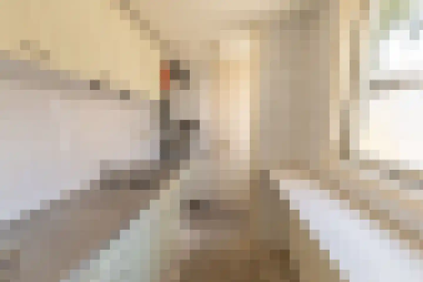 Heringastraat 6 Leeuwarden thumbnail 6