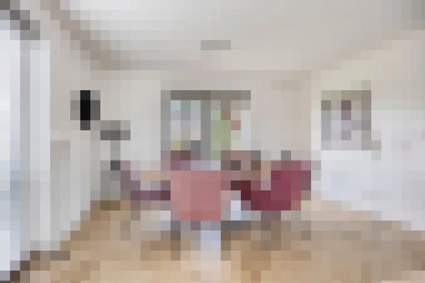 Heringhebrink 15 Dwingeloo thumbnail 11