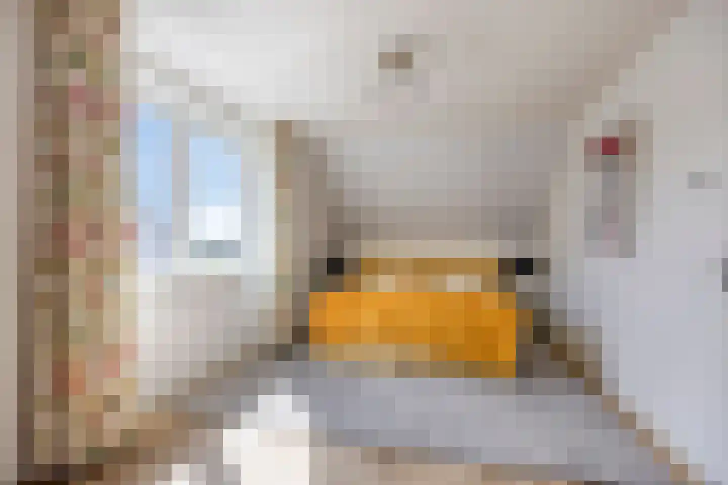 Heringhebrink 15 Dwingeloo thumbnail 19