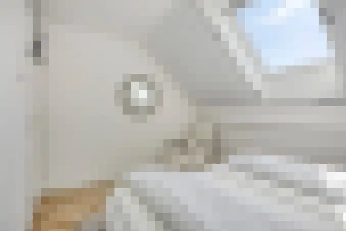 Heringhebrink 15 Dwingeloo thumbnail 22