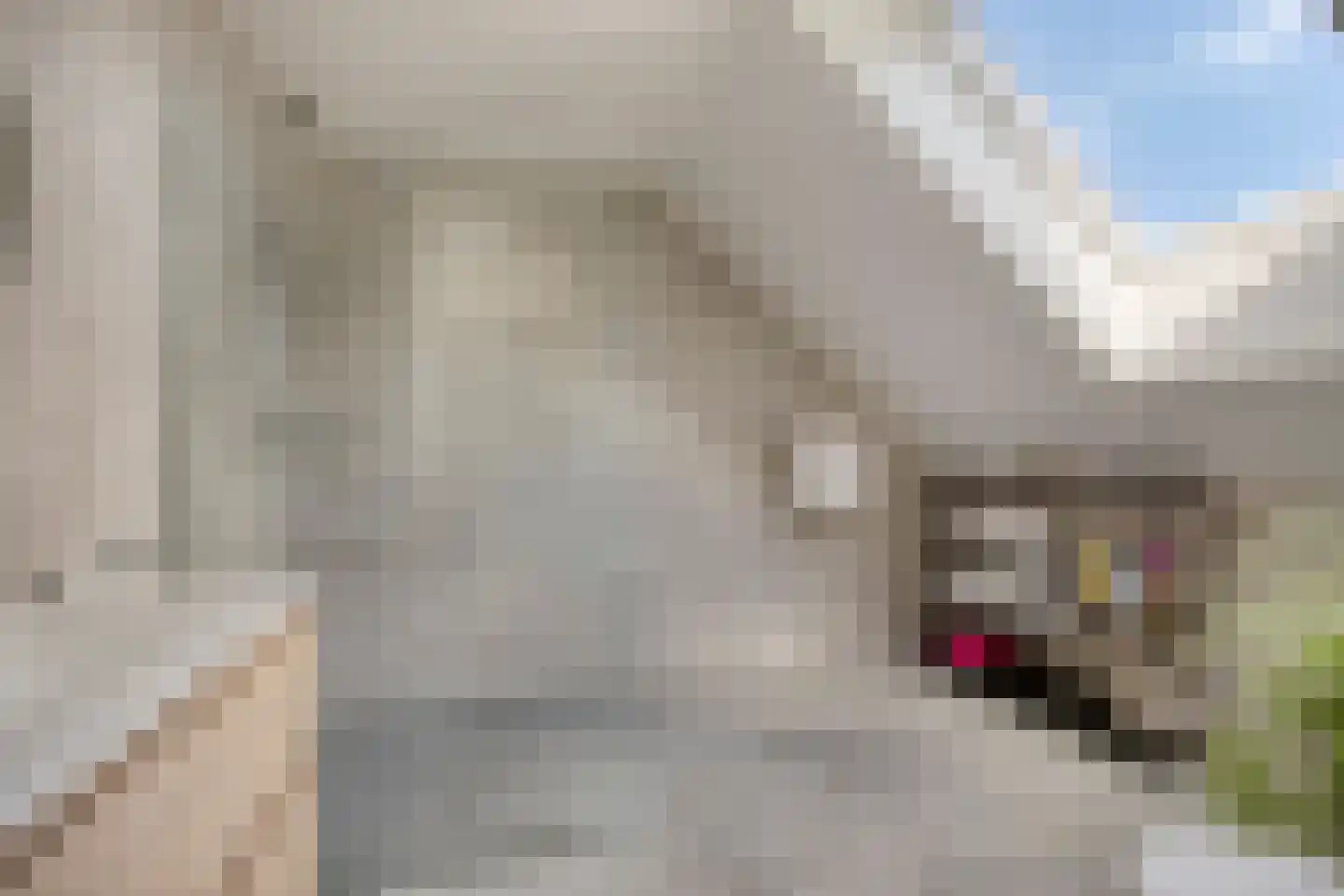 Heringhebrink 15 Dwingeloo thumbnail 23