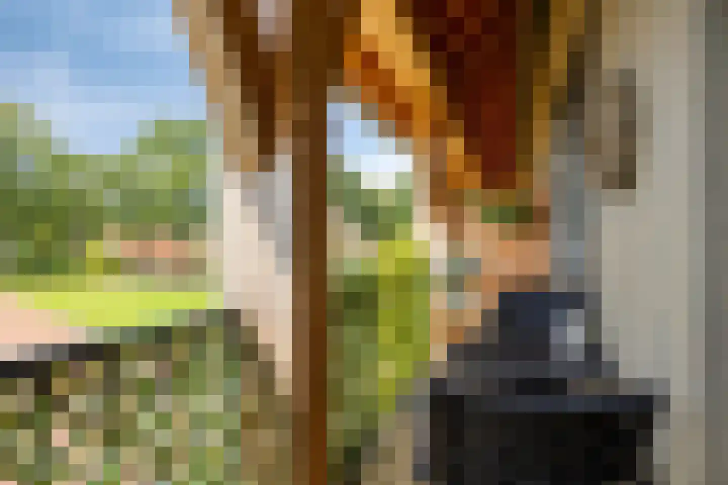 Heringhebrink 15 Dwingeloo thumbnail 25