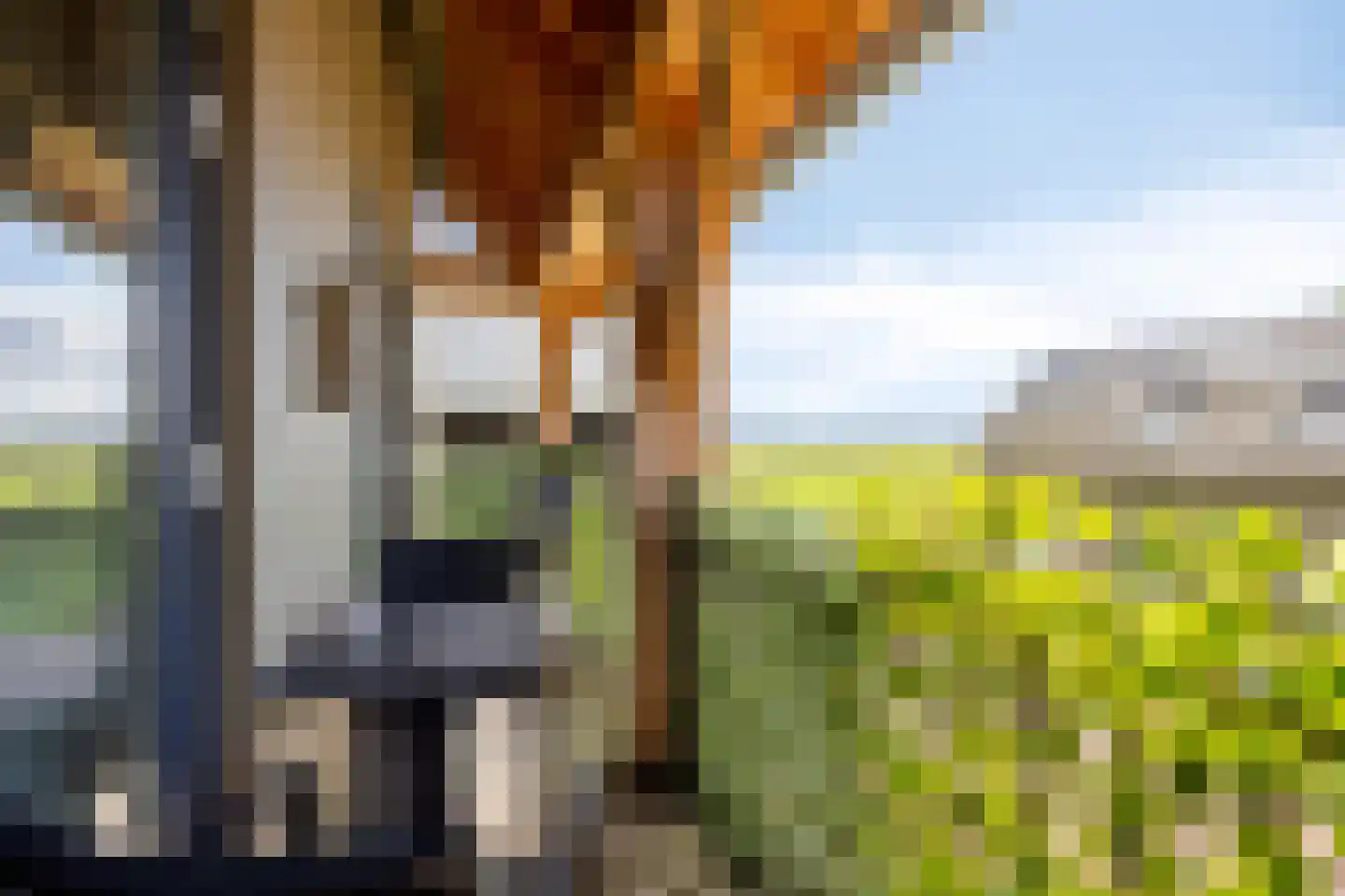 Heringhebrink 15 Dwingeloo thumbnail 26