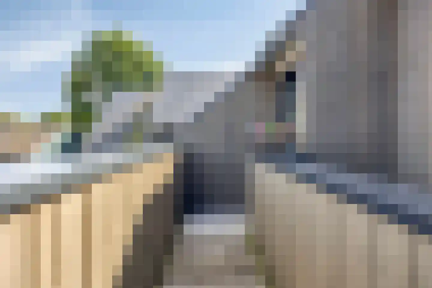 Heringhebrink 15 Dwingeloo thumbnail 27