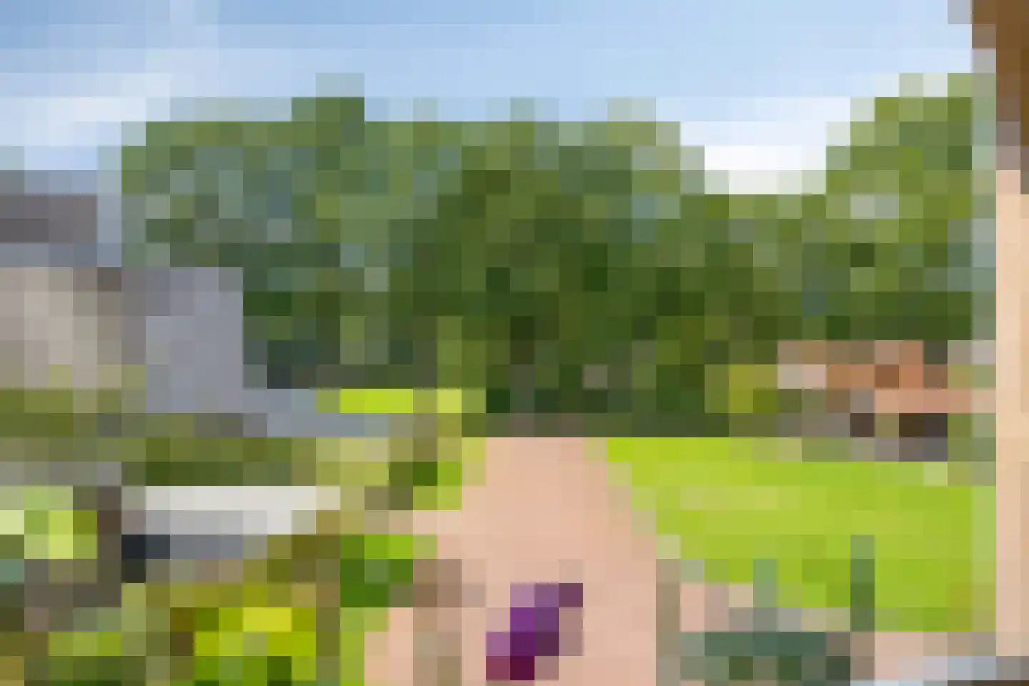 Heringhebrink 15 Dwingeloo thumbnail 28