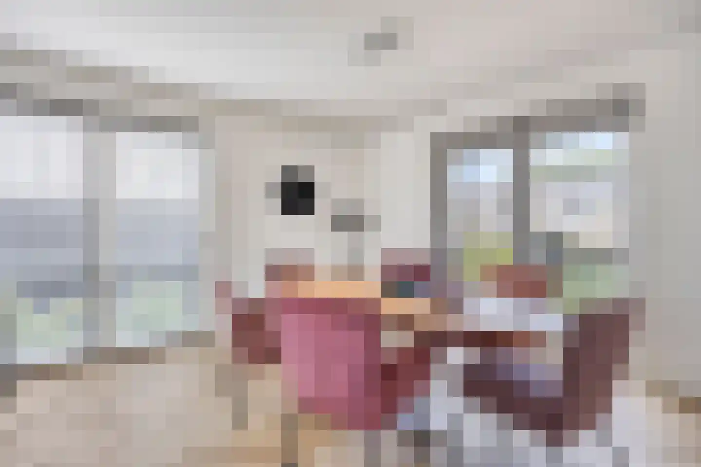 Heringhebrink 15 Dwingeloo thumbnail 4