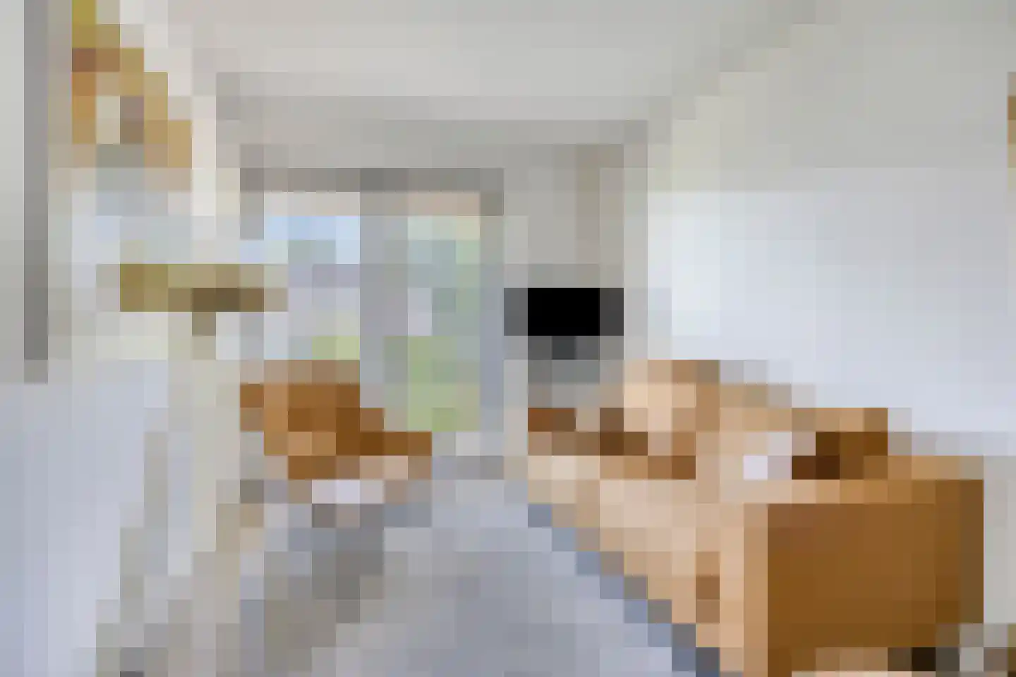 Heringhebrink 15 Dwingeloo thumbnail 9