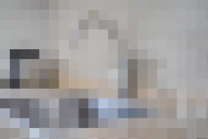 Heringhebrink 29 Dwingeloo thumbnail 10
