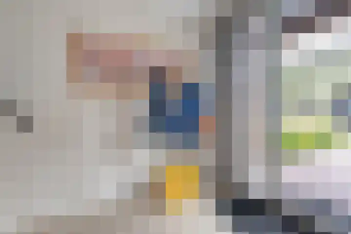 Heringhebrink 29 Dwingeloo thumbnail 12