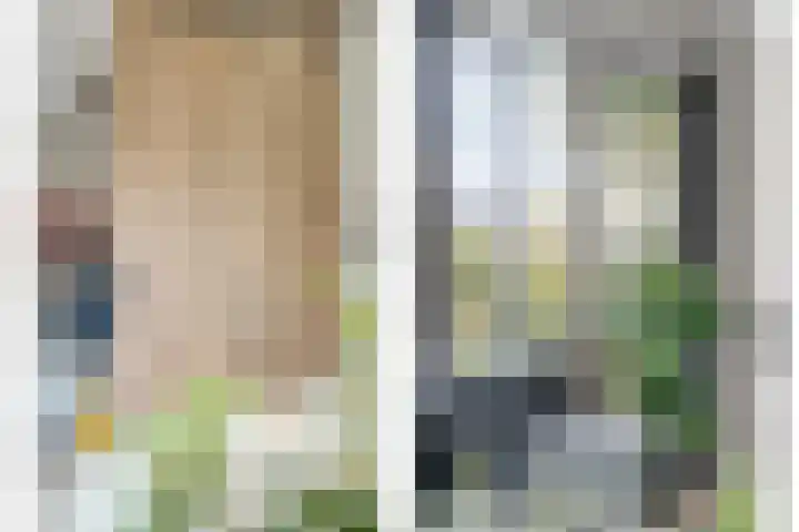 Heringhebrink 29 Dwingeloo thumbnail 14