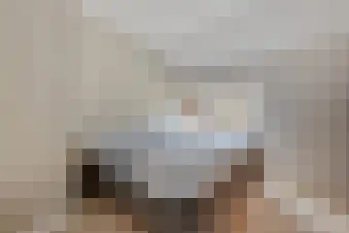 Heringhebrink 29 Dwingeloo thumbnail 16
