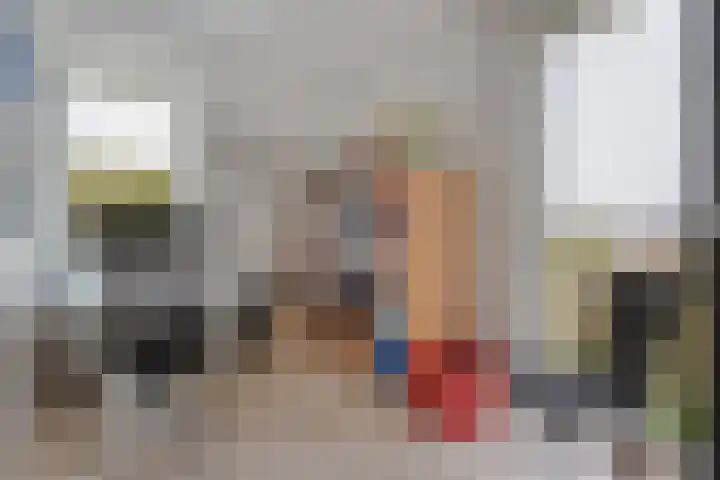 Heringhebrink 29 Dwingeloo thumbnail 18