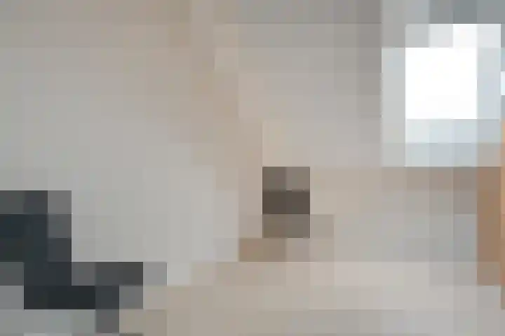 Heringhebrink 29 Dwingeloo thumbnail 19