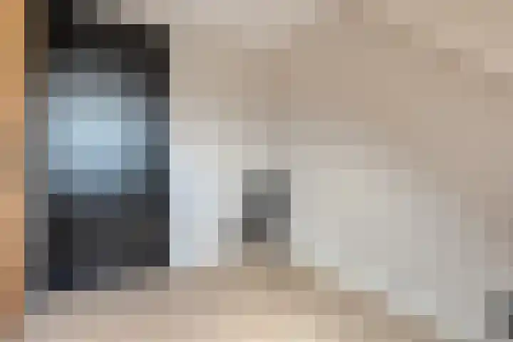 Heringhebrink 29 Dwingeloo thumbnail 20