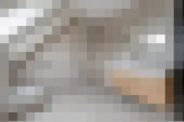 Heringhebrink 29 Dwingeloo thumbnail 21