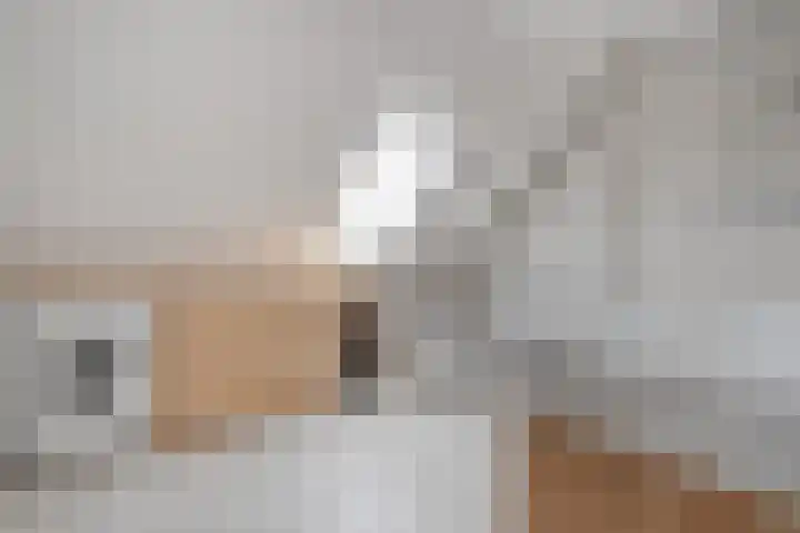 Heringhebrink 29 Dwingeloo thumbnail 22