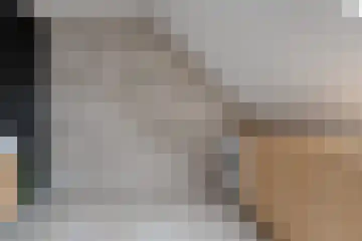 Heringhebrink 29 Dwingeloo thumbnail 23