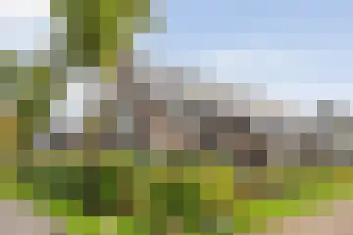 Heringhebrink 29 Dwingeloo thumbnail 25