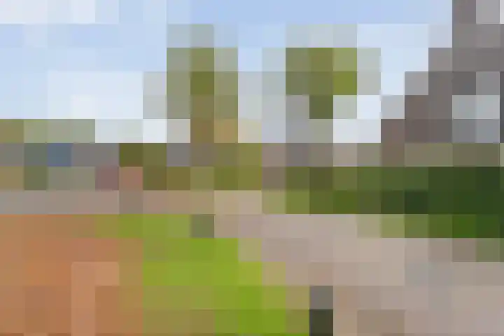 Heringhebrink 29 Dwingeloo thumbnail 26