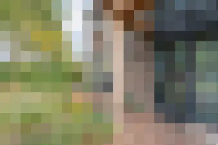 Heringhebrink 29 Dwingeloo thumbnail 28