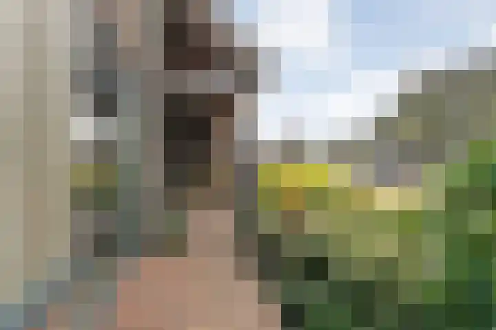 Heringhebrink 29 Dwingeloo thumbnail 29