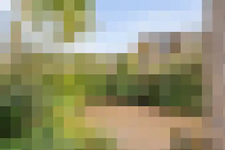 Heringhebrink 29 Dwingeloo thumbnail 33