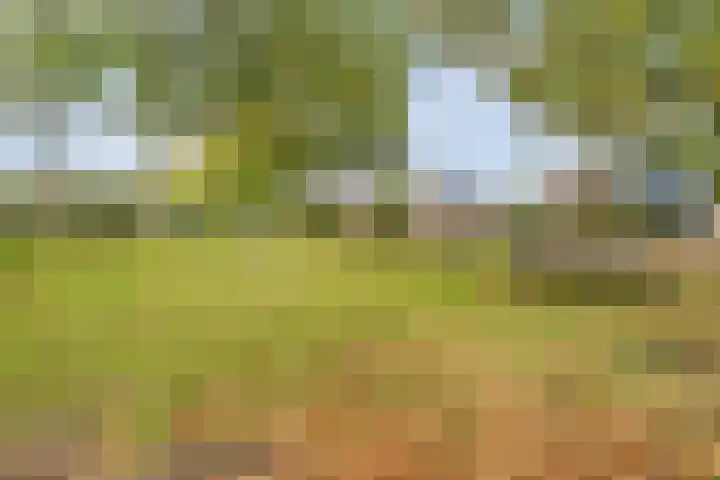 Heringhebrink 29 Dwingeloo thumbnail 34
