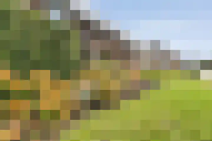 Heringhebrink 29 Dwingeloo thumbnail 35