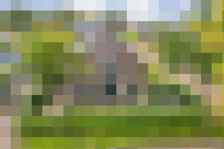 Heringhebrink 29 Dwingeloo thumbnail 36